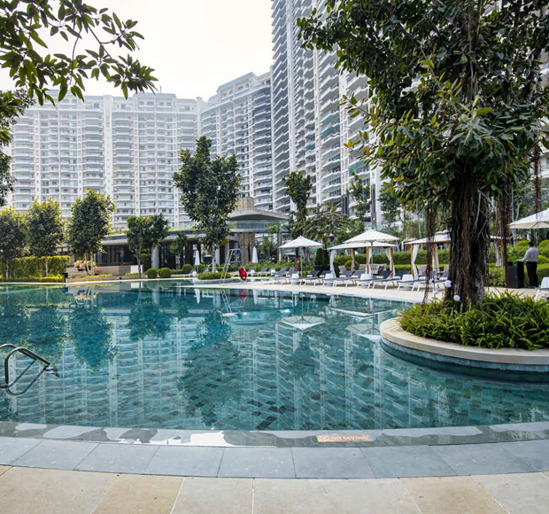 DLF-Magnolias